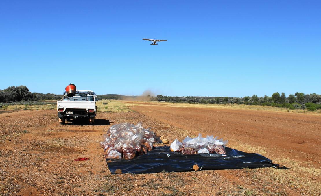 Aerial baiting campaigns are shortly to get underway throughout western and southern Queensland.