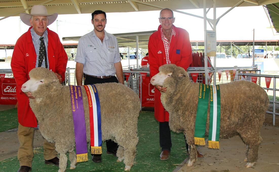 Nigel Brumpton and Mt Ascot Milly, the grand champion medium wool ewe of the state sheep show, with Luke Goldthorpe, Coopers Animal Health, and Garry Kopp, Towalba, showing the reserve champion.