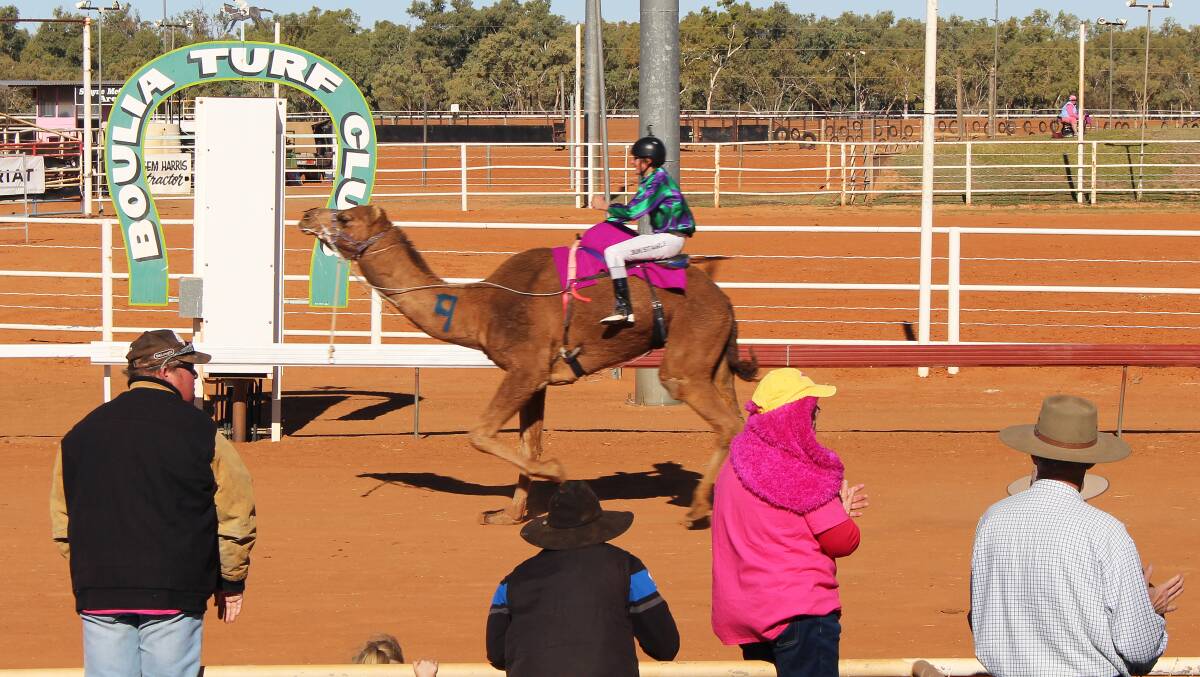 HookMUp and jockey, 15-year-old Ryan Kennedy, crossing the winning post to take out the 2015 Boulia Cup.
