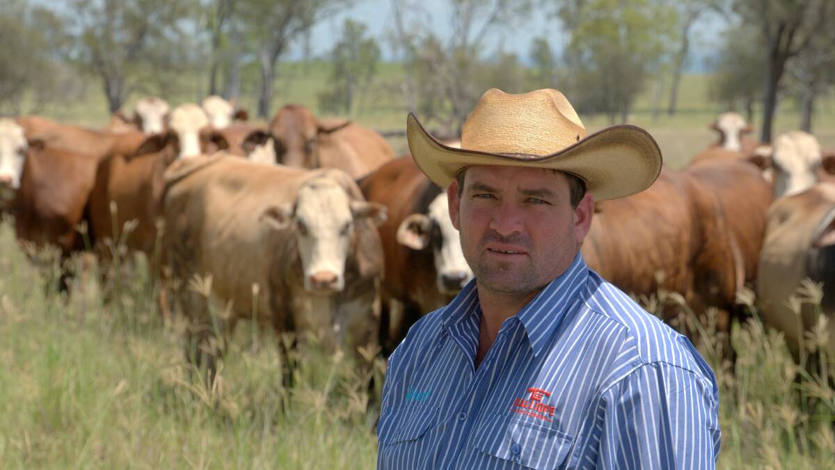 Calliope beef producer, Will Wilson.