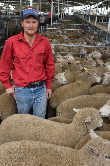 Ryan Lenehan, Kirkoola Partnership, Hawkesdale, sold 330 shorn lambs at Hamilton recently. 