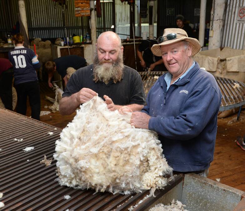 Dave Roach, Gilgandra, classing wool with Malcolm Webb, '"Miagunyah'", Warrumbungle.