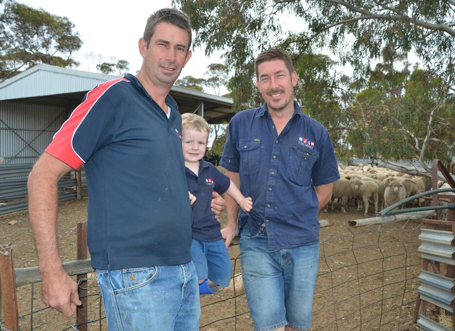 Alex, Oscar and Paul McGorman, "Thornby", Sanderston, South Australia, believe redefining the lamb term will result in a more consistent Australian product. 