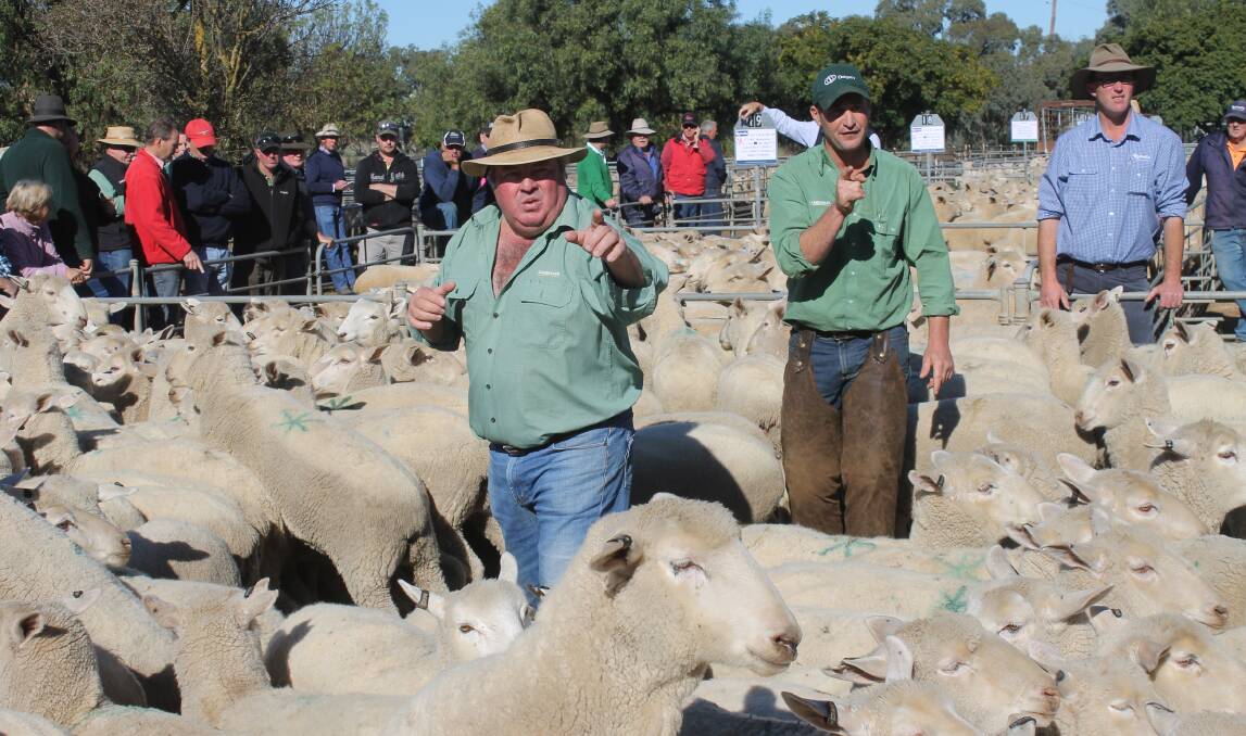 Landmark's Paddy O'Rielly and Shan Coffey selling at Wycheproof, on Friday, where scanned in lamb lines of crossbred lamb ewes and Merino ewes hit highs of $330 and $278 a head respectively. Photo: Murray Arnel 