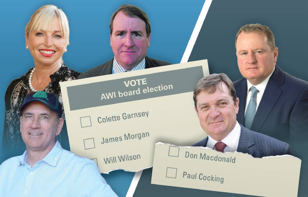 Friction over their positions on mulesing and governance has erupted between the five candidates running for the three positions on the Australian Wool Innovation board. 