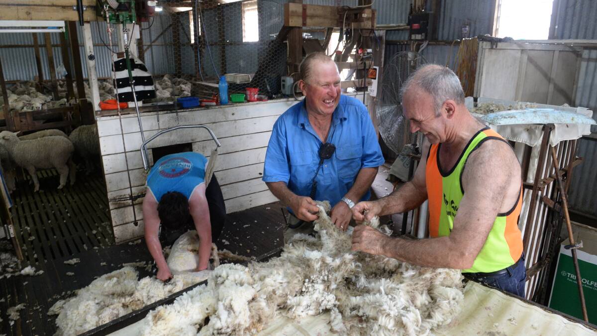 Roger Warren, "Cains", Boorowa has begun shearing July/August drop Merino lambs which av 18.3m. He is pictured with woolclasser Darrell Armour.