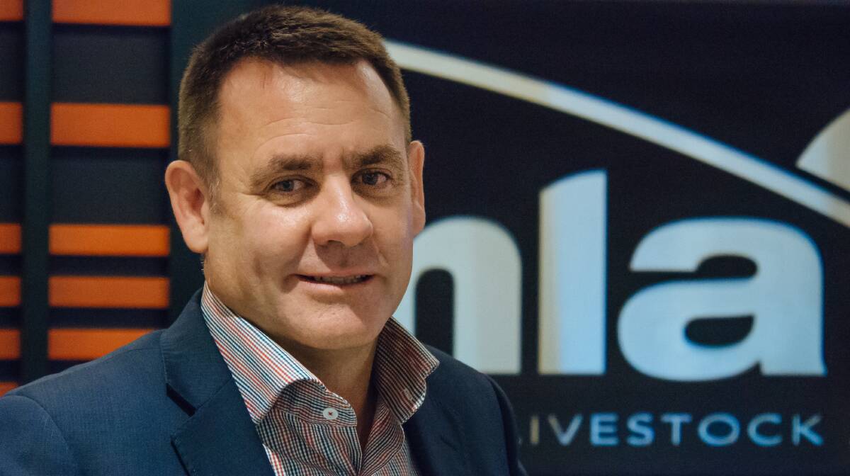 MLA managing director Richard Norton said the industry would be “negligent” if it did not pursue a mulesing strategic direction for sheep producers. 