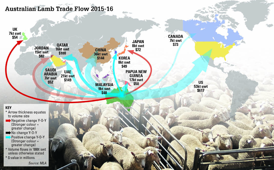 The US, China and the Middle East are expect to remain Australia's major sheepmeat markets, while domestic demand will account for 48pc of production in 2017.