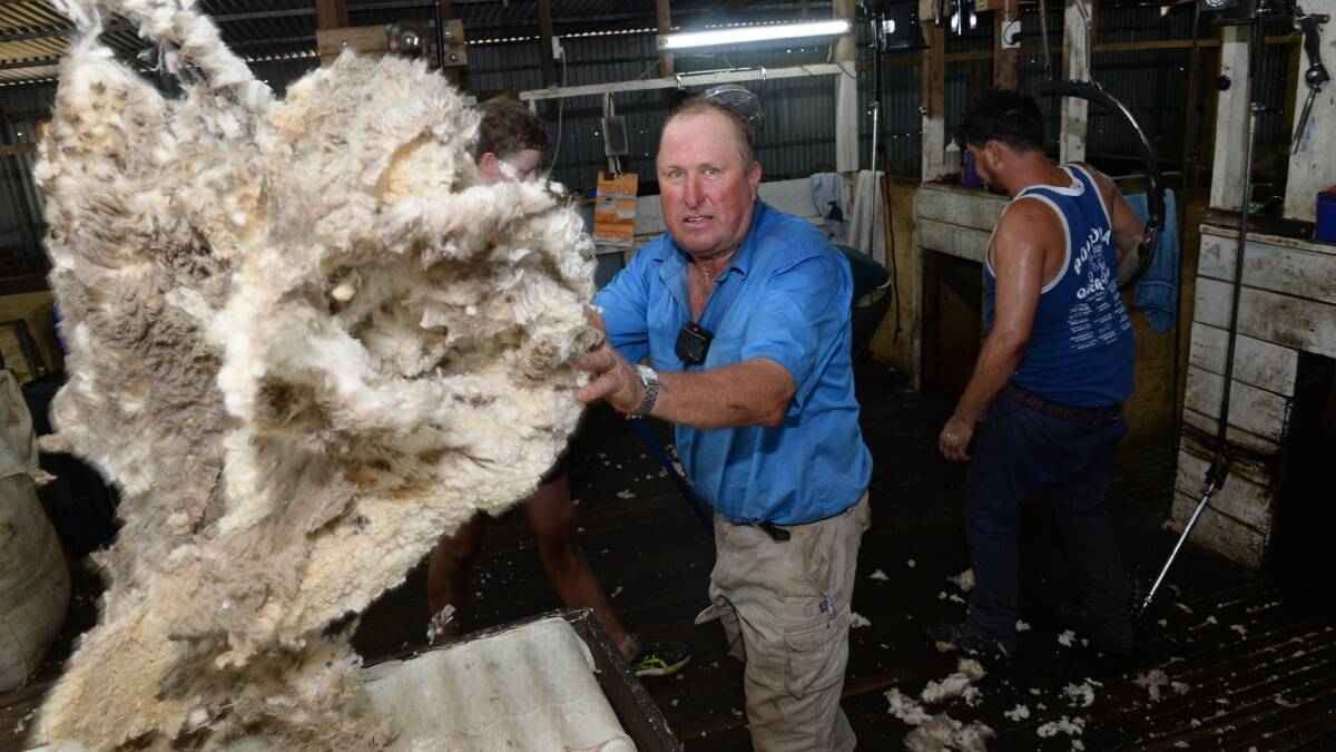 Roger Warren, "Cains", Boorowa has begun shearing July/August drop Merino lambs which av 18.3m. 