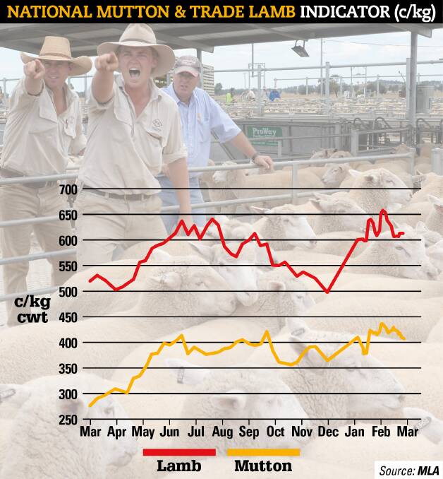 MLA forecasts record price averages for both mutton and lamb in winter, as the country's supply shortages climax. 