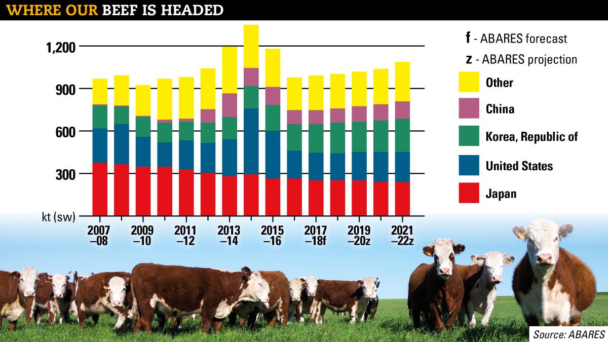 High cattle prices to hold