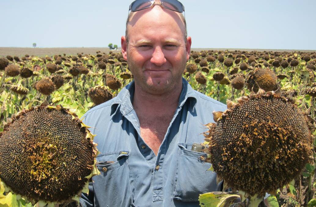 Emerald sunflower grower Roland Hornick is hoping for more rain by early March when he will plant his summer crop. Mr Hornick is a second generation sunflower grower.