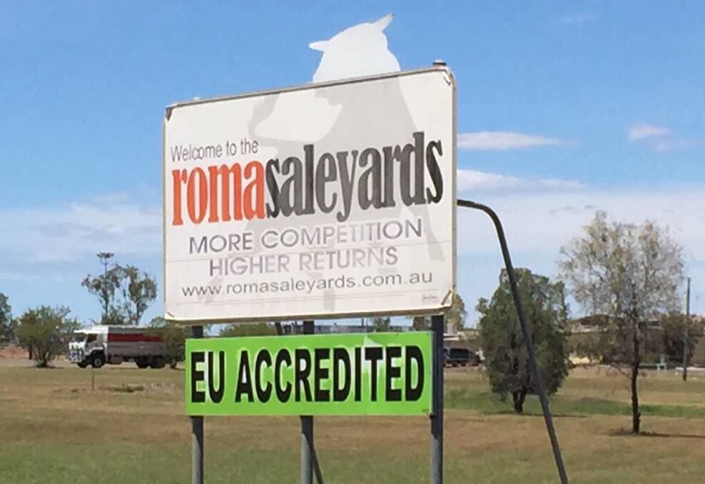 Maranoa Council digs in over Roma saleyards fee