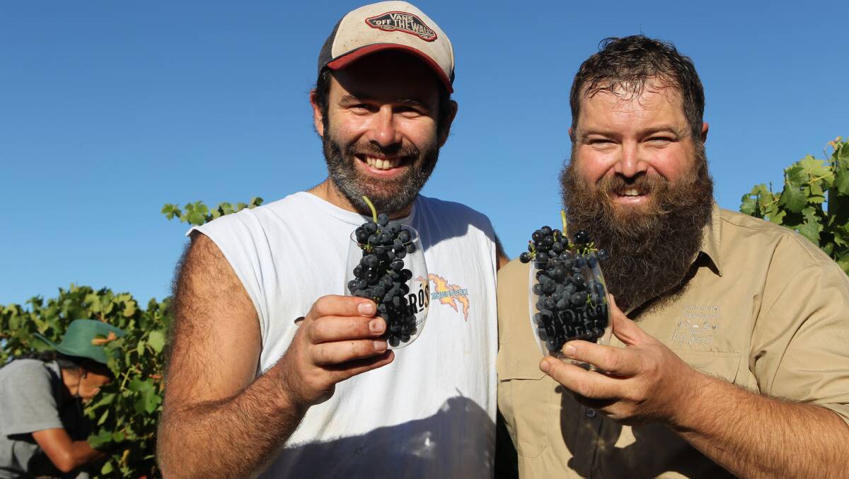 Fraser McKinley of Sami-Odi Wines and grapegrower Adrian Hoffmann are hopeful of a quality 2018 vintage. Photo: Carla Wiese-Smith