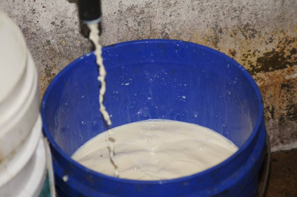 Dairy processors could face hefty fines if mandatory code adopted
