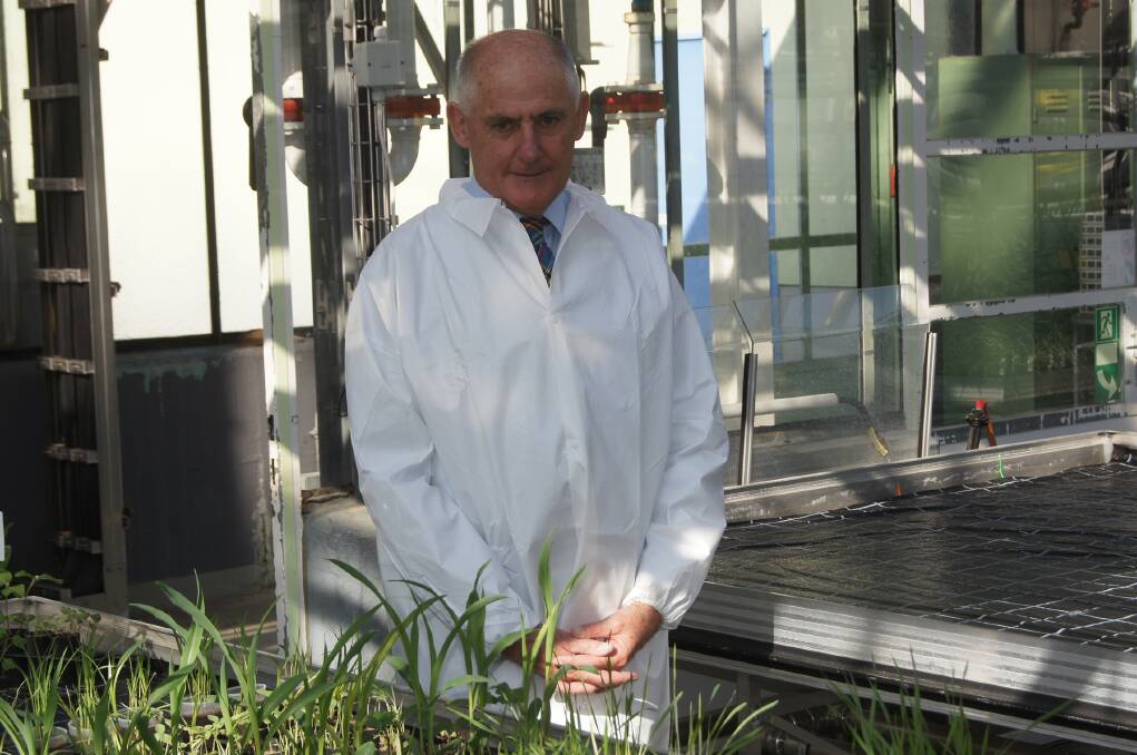 Australian Herbicide Resistance Initiative director Professor Stephen Powles.