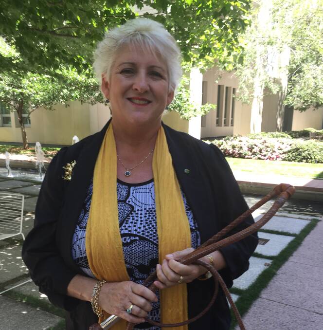 Queensland Nationals MP Michelle Landry.