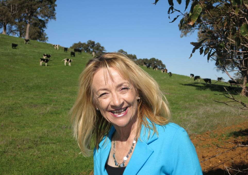 Western Australian rural Liberal MP Noal Marino.
