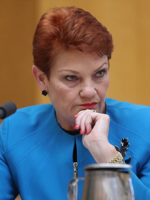 One Nation leader and Queensland Senator Pauline Hanson.