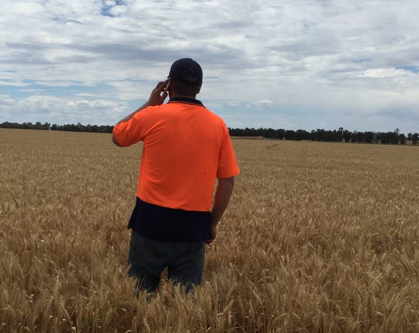 Farmers can call the ACCC's new anonymous complaints service to vent issues about unfair supply chain treatment and avoid retribution.
