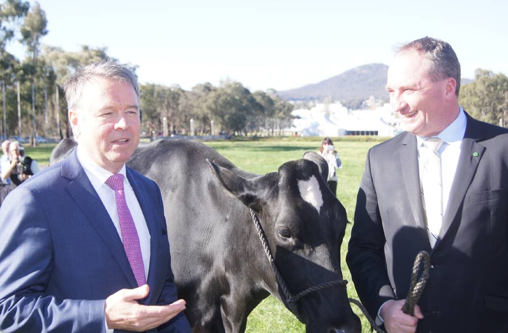 Shadow Agriculture Minister Joel Fitzgibbon (left) and his political nemesis, Agriculture and Water Resources Minister Barnaby Joyce.