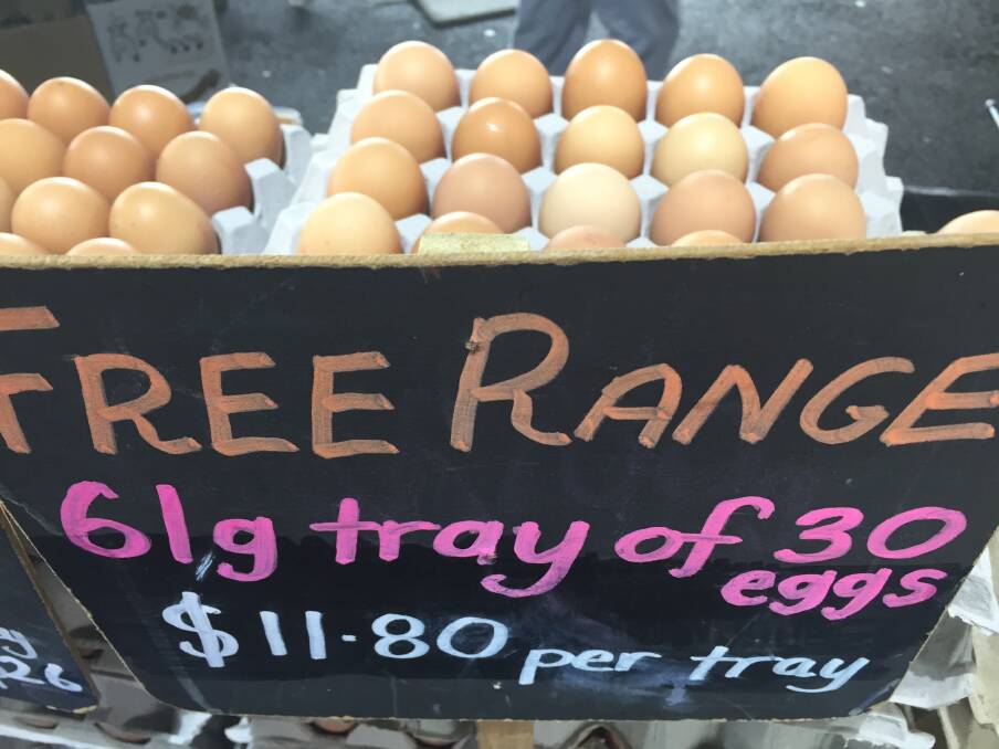 Battery cages targeted in war on egg production standards