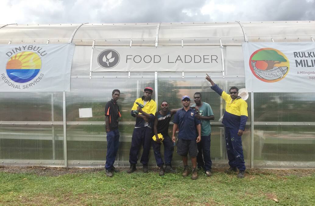 FULL SWING: One of the operational greenhouses at Ramingining, East Arnhem Land, where the program is providing nutritious vegetables for the local area.
