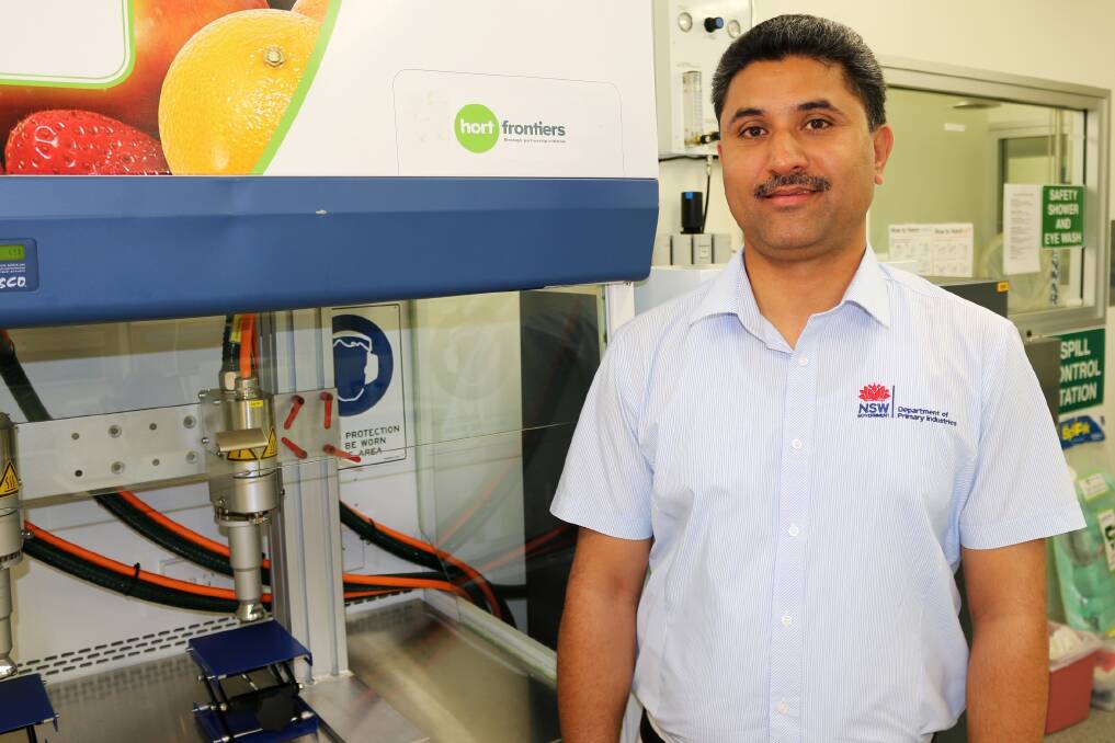 NEW GROUND: Lead researcher, Dr Sukhvinder Pal Singh, says non-food sectors such as automotive, aerospace, textile, polymer, electronics and biomedical were already using the supercharged are technology overseas but it had never been applied to fresh produce.