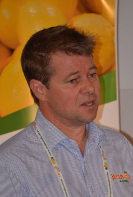 Citrus Australia market manager, David Daniels.