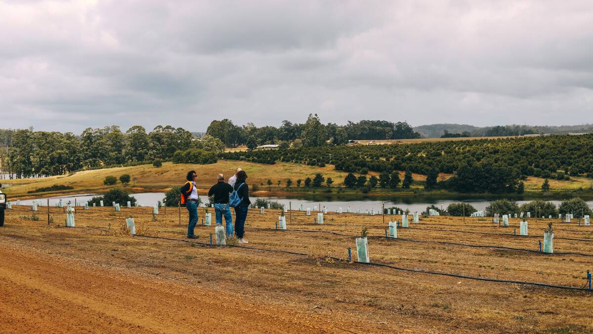 RESEARCH: Curtin University researchers overlook the dam at Wine and Truffle Co Manjimup and discuss the project.
