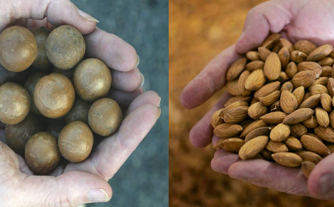 HANDFULS: Both the Australian macadamia and almond industries go from strength to strength with record harvests on the cards. Favourable weather during growing periods have contributed to the crops.