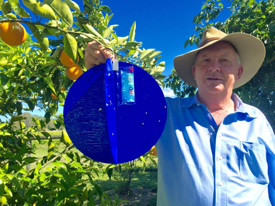 BIG THINGS: Professor Dick Drew of Griffith’s International Centre for the Management of Pest Fruit Flies with the new Fruition non-toxic fruit fly trap.