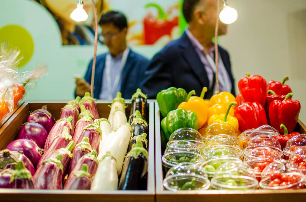 INTO ASIA: Online wholesale fruit and vegetable trading platform, the HiveXchange will feature at one of the world's largest fresh produce seminars, Asia Fruit Logistica, in Hong Kong this week.