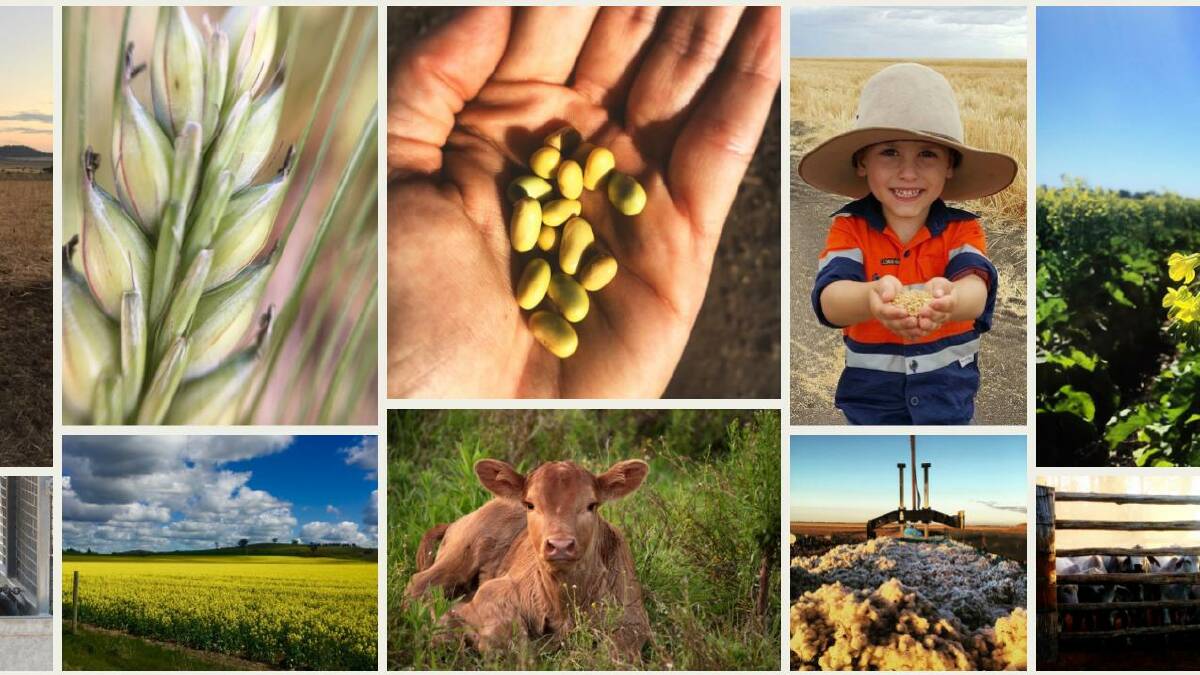 AgDay Photo Comp looking for “essence of agriculture”