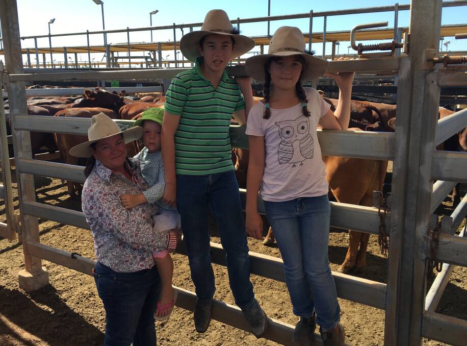 Kylie, Evie, Darcy, and Sam Douglas, Douglas Cattle Co, Verniew, Mitchell, sold Santa- cross heifers to 348c/kg for 341kg to return $1187/head at Roma Store Sale.
