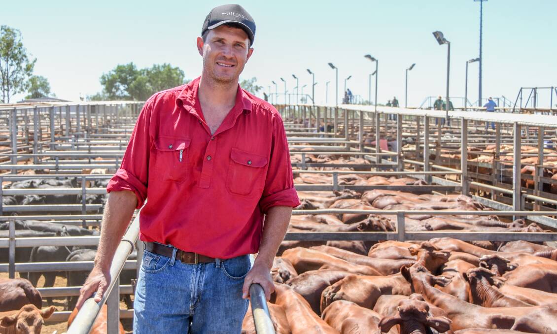 Andrew Nugent, Toliness, Charleville represented his uncle David Nugent, Tambo Station, Tambo, who sold a large run of Santa cross steers at the Roma store sale on Tuesday. Their 458 steers averaged 281c at 456kg to return $1284/hd. 