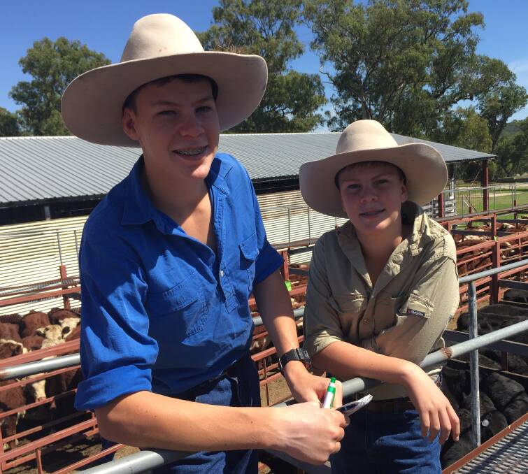 DAY OUT: Brothers Riley and Fletcher Darr, Toowoomba, check out George and Fuhrmann's annual blue ribbon weaner sale in Stanthorpe. Picture: Mark Phelps