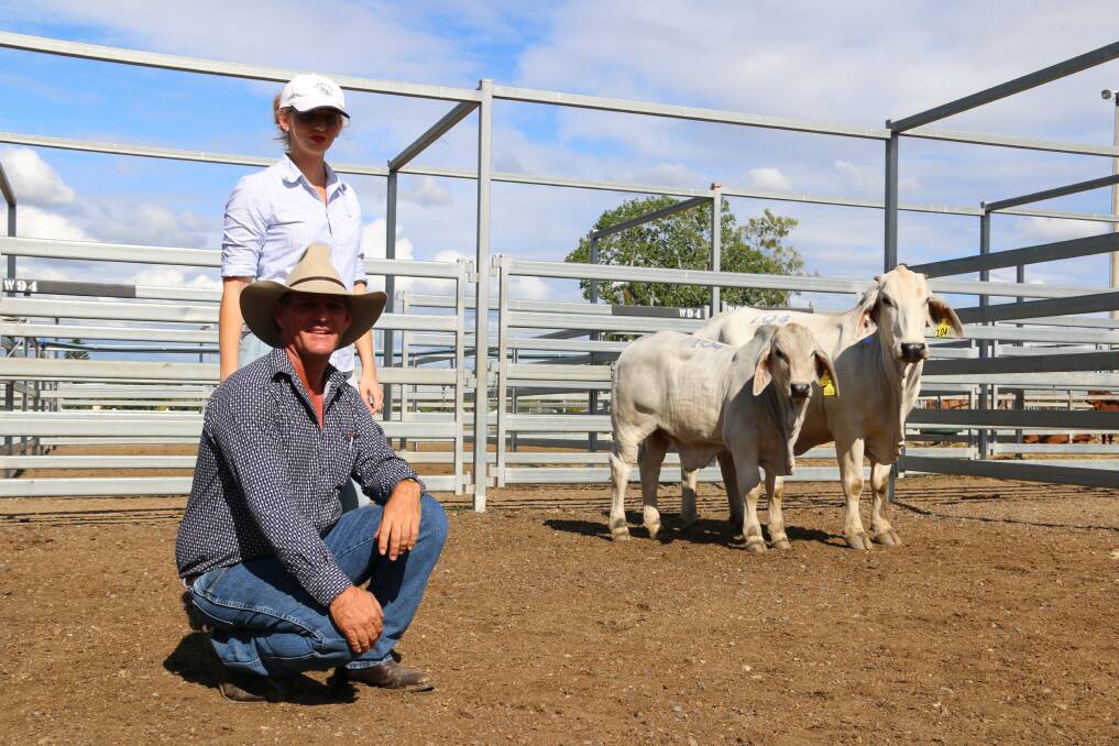 Pictured with $19,000 second top price female, Jaffra Miss Lady 4661 (P) and calf, is vendor Anna Jackson, Jaffra Brahmans & Lawson Camm, Cambil Brahmans, Proserpine. Picture: Julie Sheehan