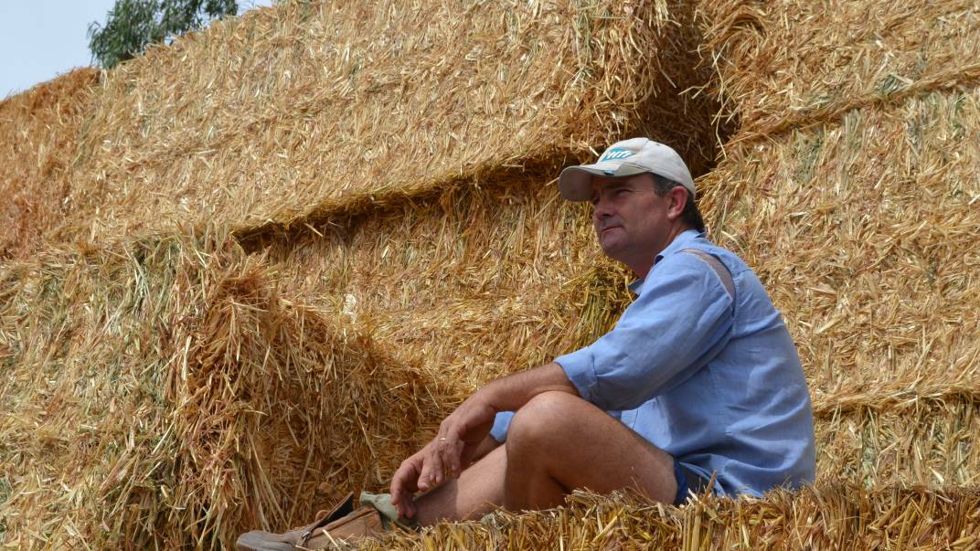 Fourth-generation southern Riverina farmer, Brendan Farrell contemplating the logistics of transporting 5000 round and square bales of hay to drought stricken graziers in Queensland. This will be the tenth convoy since 2013.