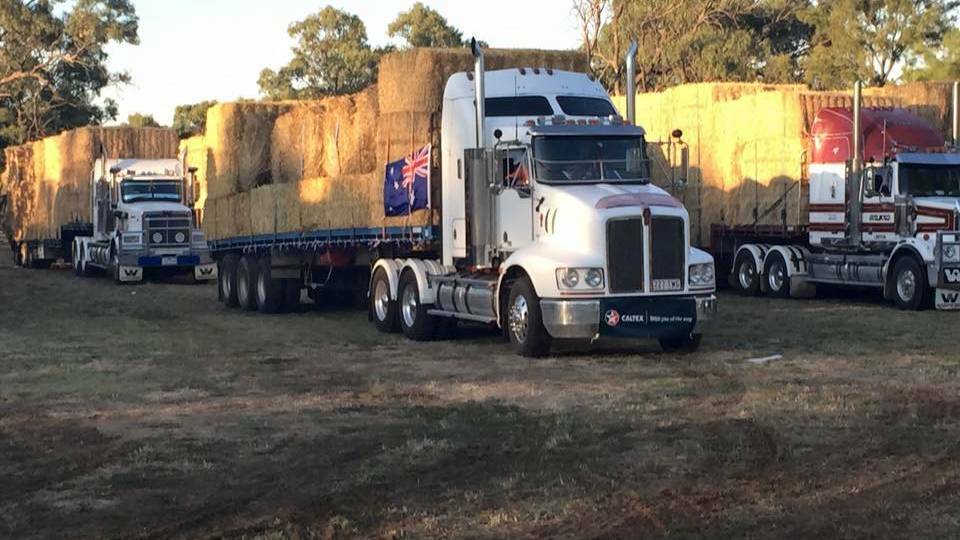 The first trucks leave Darlington Point at 6am on Thursday.