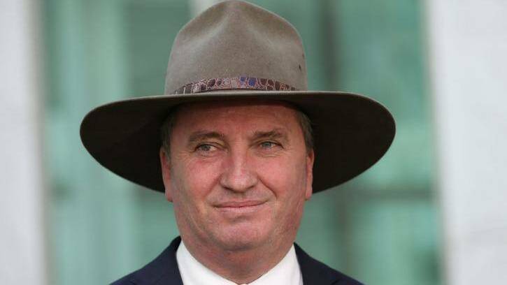 Deputy Prime Minister Barnaby Joyce. Photo: Andrew Meares