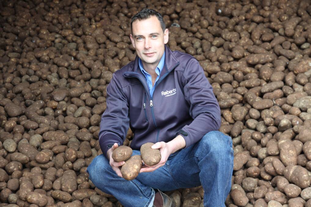 POTATO GROWER: Stuart Millwood, State Agronomy Manager for Roberts, loves a challenge.