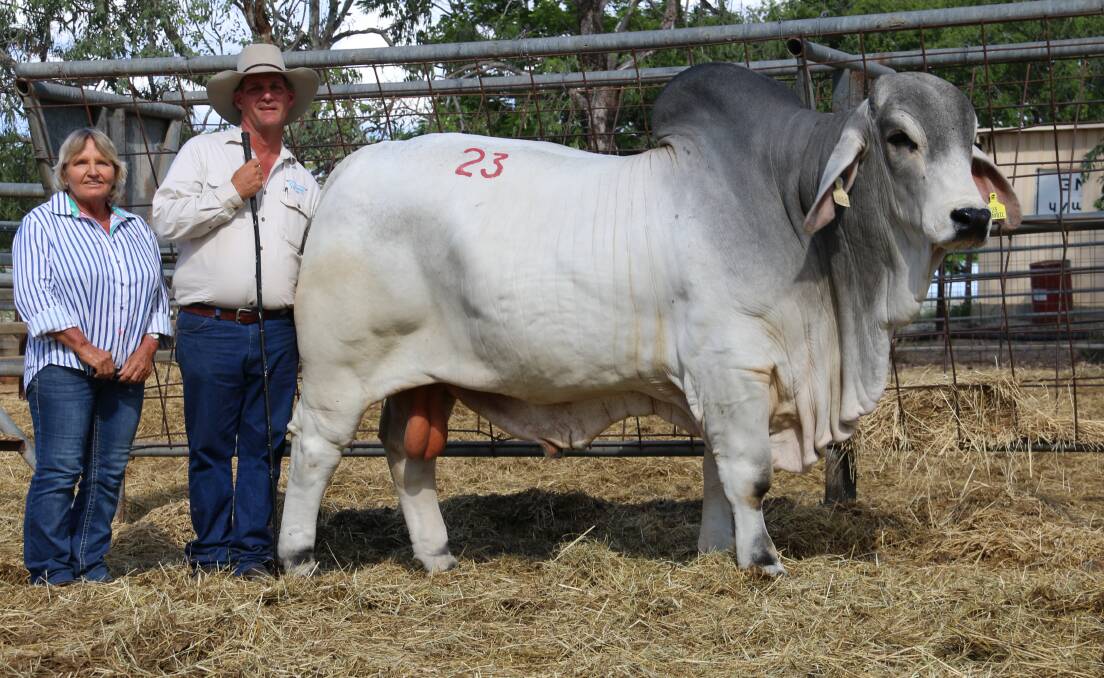Purchaser Sue Hammer, Annavale Brahmans, Charters Towers with Lawson Camm, Cambil Brahmans and the top price $34,000 sire.
