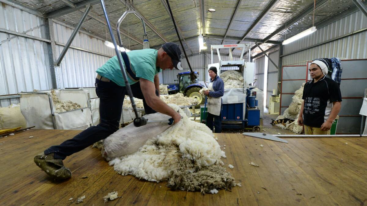 Shorn wool production predicted to stabilise
