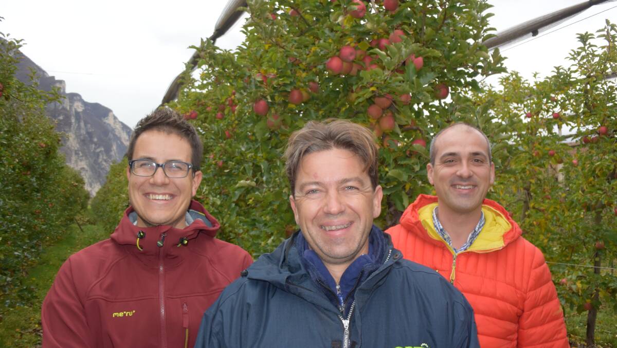 Apple co-op La Trentino Vice President Michele Roncador flanked by agronomists Ivan Caset and Andrea Taddia among Pink Lady apple trees at Nave San Rocco north of Trento, Italy. Later harvests yield fruit with up to 25 per cent more colour, an important marketing factor that can be enhanced by pruning leaves away from fruit.