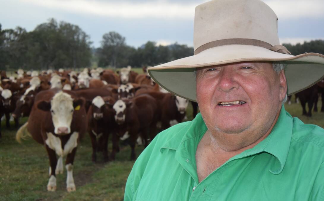 UNITED: John Smith, 'Glenayre', Woodenbong, with pure Hereford cows and Santa cross calves. “Herefords have been good to us.” When it comes to marketing the Smith brothers present as a uniform line.