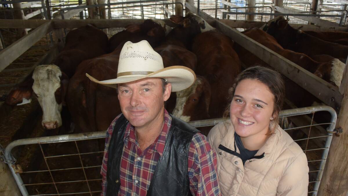 George and Fuhrmann’s annual heifer sale attracted solid interest in first cross Brahman/ Hereford , mostly presented by Darryl Amos, Old Bonalbo, pictured with his daughter Lauren, whose heifers averaged $1869 topping at $2200.