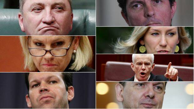 A guide to the High Court's 'citizenship seven' hearings