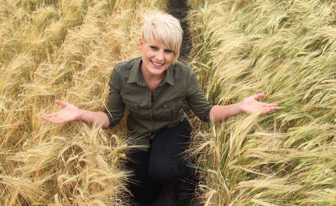 University of Queensland PhD student Hannah Robinson compares barley with deep root gene to barley without the gene.