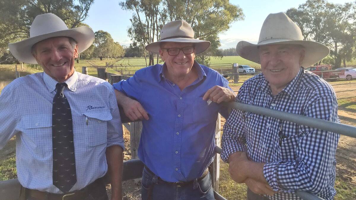 Jim Wedge, Ascot Charolais and Angus Studs, Warwick, with Brisbane-based miner and cattle producer Nick Mather and manager Miles Paterson who bought bulls for Lyndley Station, Jandowae, and Manumbar Station, Goomeri.